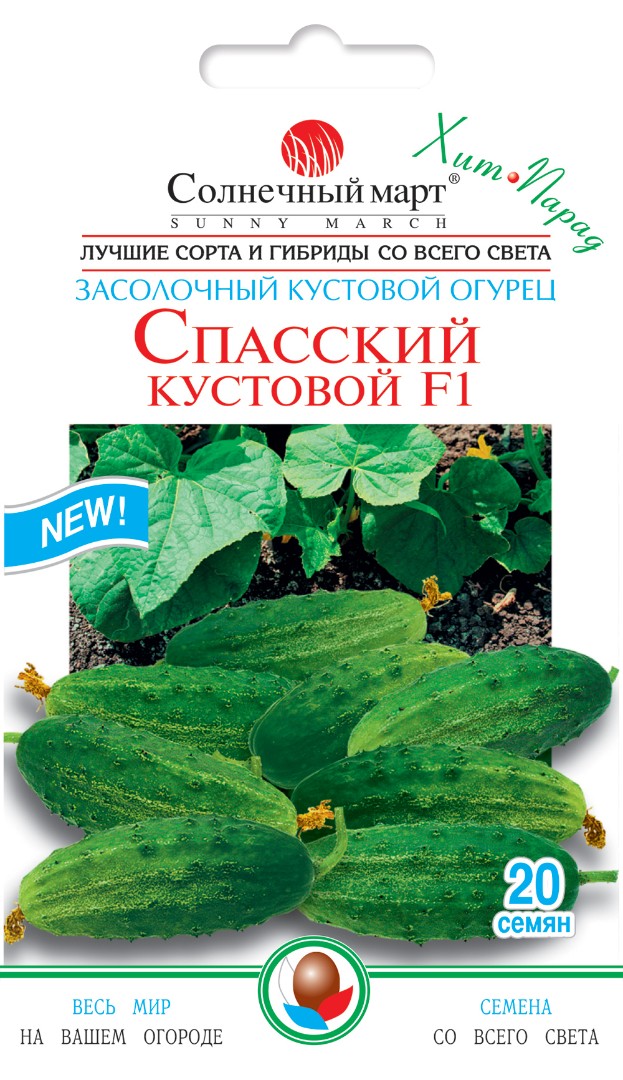 Огірок Спаський кущовий F1